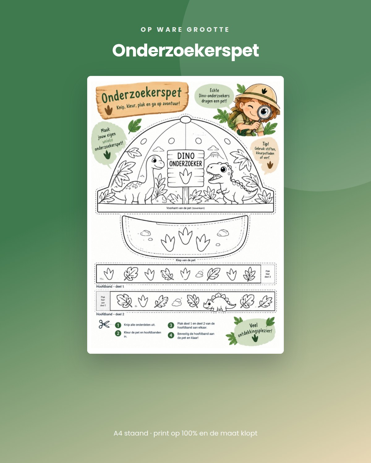 Dino-onderzoekers compleet pakket, 4 tot 6 jaar - Afbeelding 5